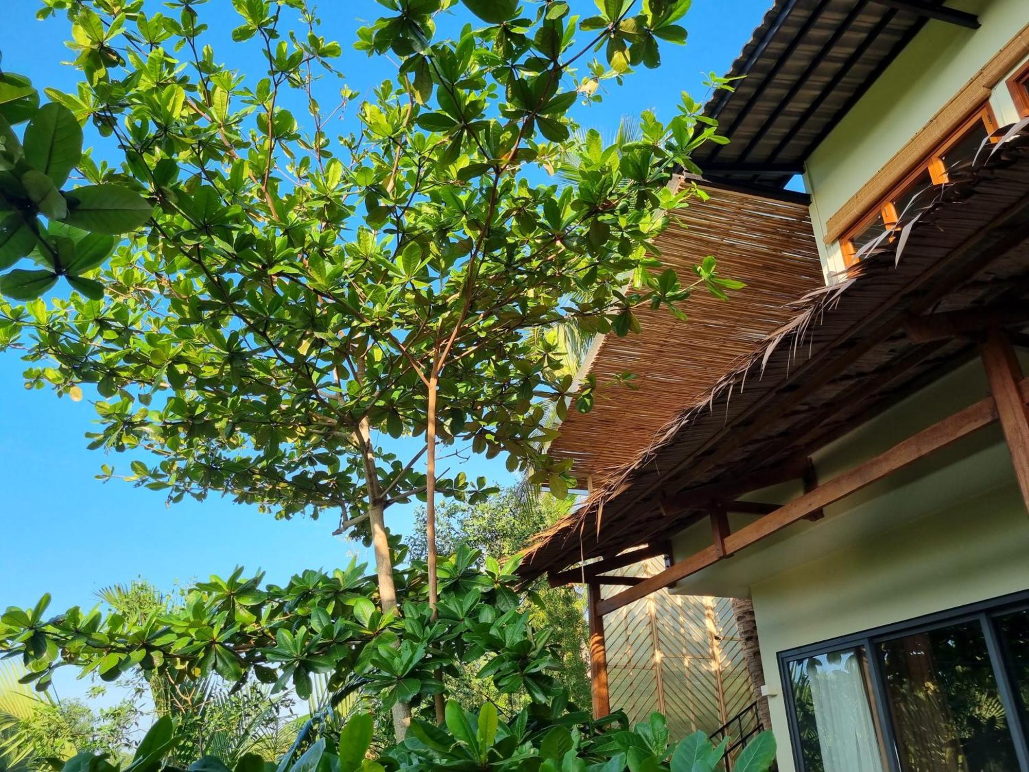 Innerzen Riverside Homestay Ben Tre - Japanese Style Kültér fotó